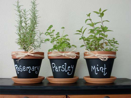 Herb garden at home