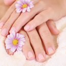 Hands care – especially before the beginning of the cold season