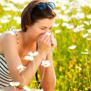 Hay fever – now the grasses flowering begins