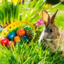 Cholesterol for Easter – how many eggs it may be?