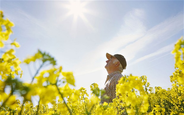 Sunstroke in seniors