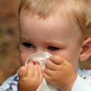 Babies suffer from colds very often