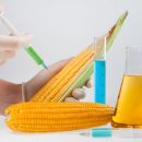 Artificial food additives