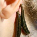 How does a leech therapy work?