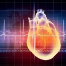 How does the heart rate variability influence on our physical and mental state?
