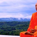 Modified mindfulness meditation and the brain structures
