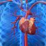 Can Yoga reduce the incidence of atrial fibrillation?