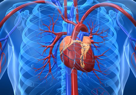 Atrial fibrillation