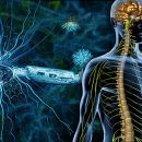 Multiple sclerosis may cause a disturbance of the blood vessels in the neck?